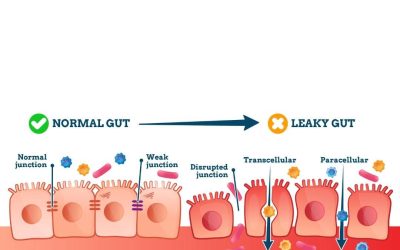 Defending and Protecting Against Leaky Gut and Mycotoxins