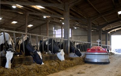 DTX™ – Not Just for DON